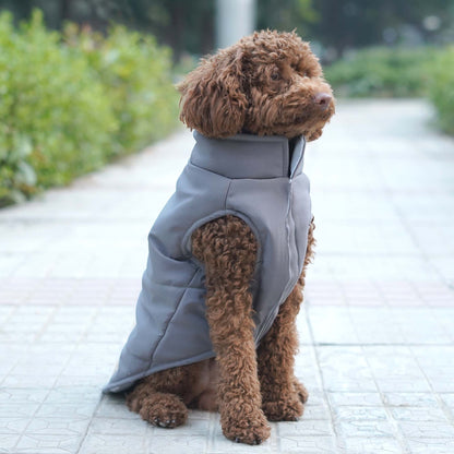 Frost- Grey Dog Jacket