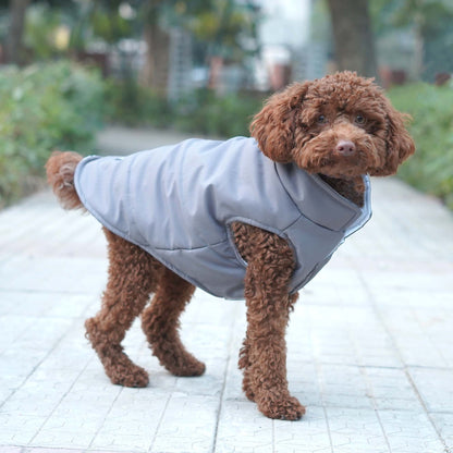 Frost- Grey Dog Jacket