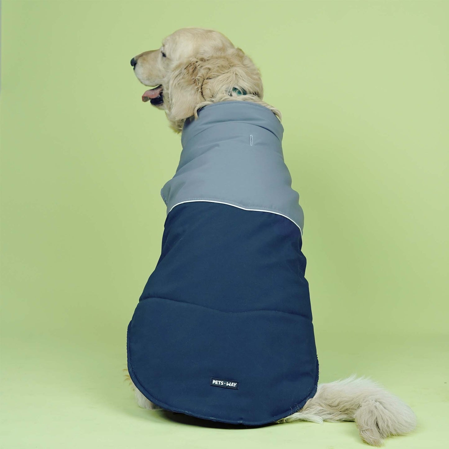Frost- Navy Dog Jacket