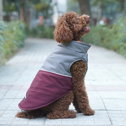 Frost- Wine Dog Jacket