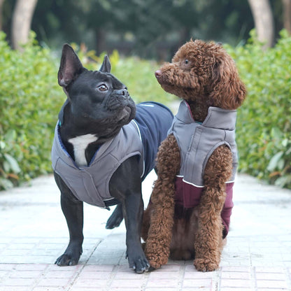 Frost- Navy Dog Jacket