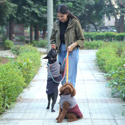 Frost- Wine Dog Jacket