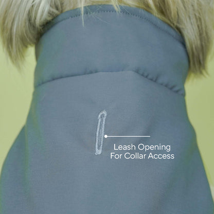 Frost- Grey Dog Jacket