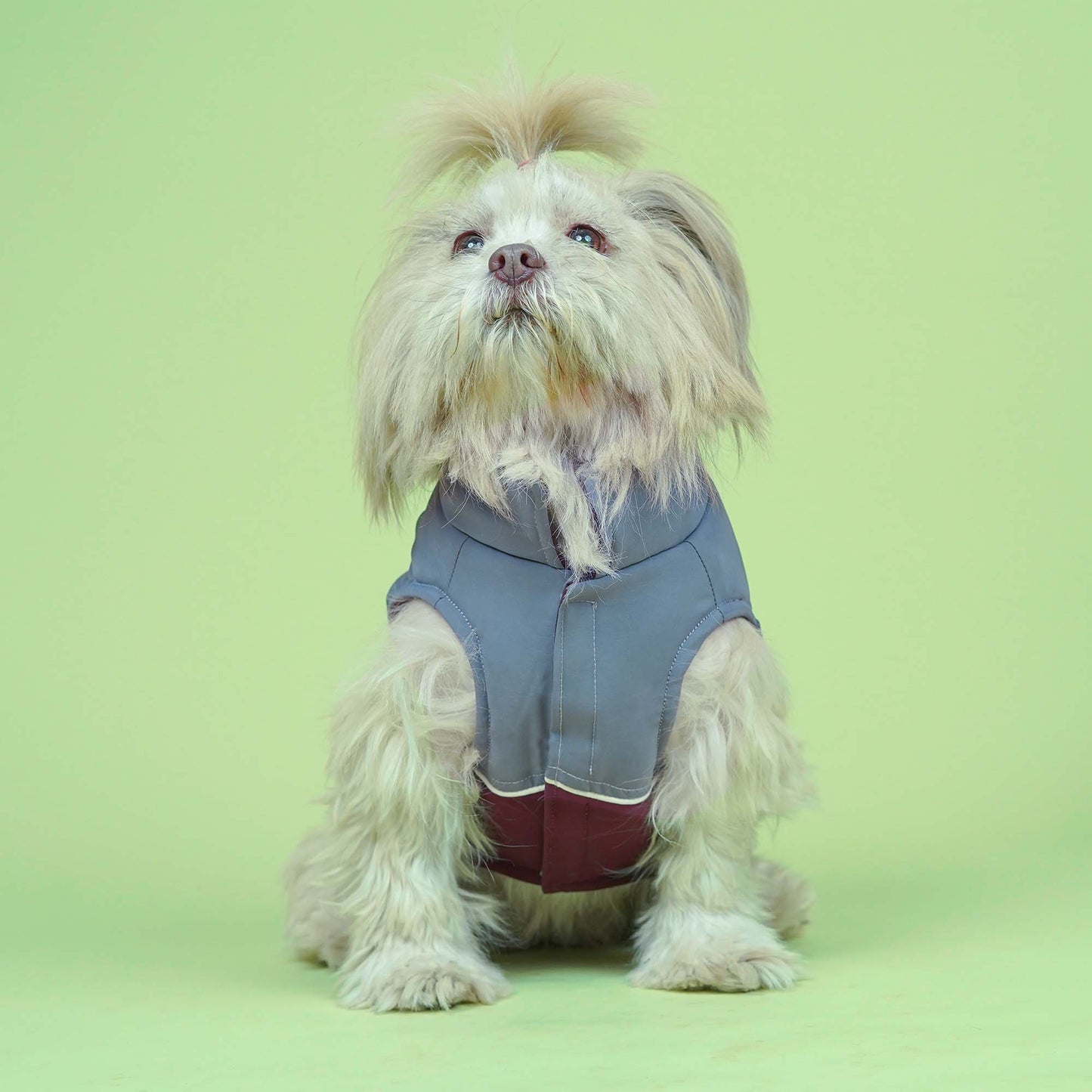 Frost- Wine Dog Jacket
