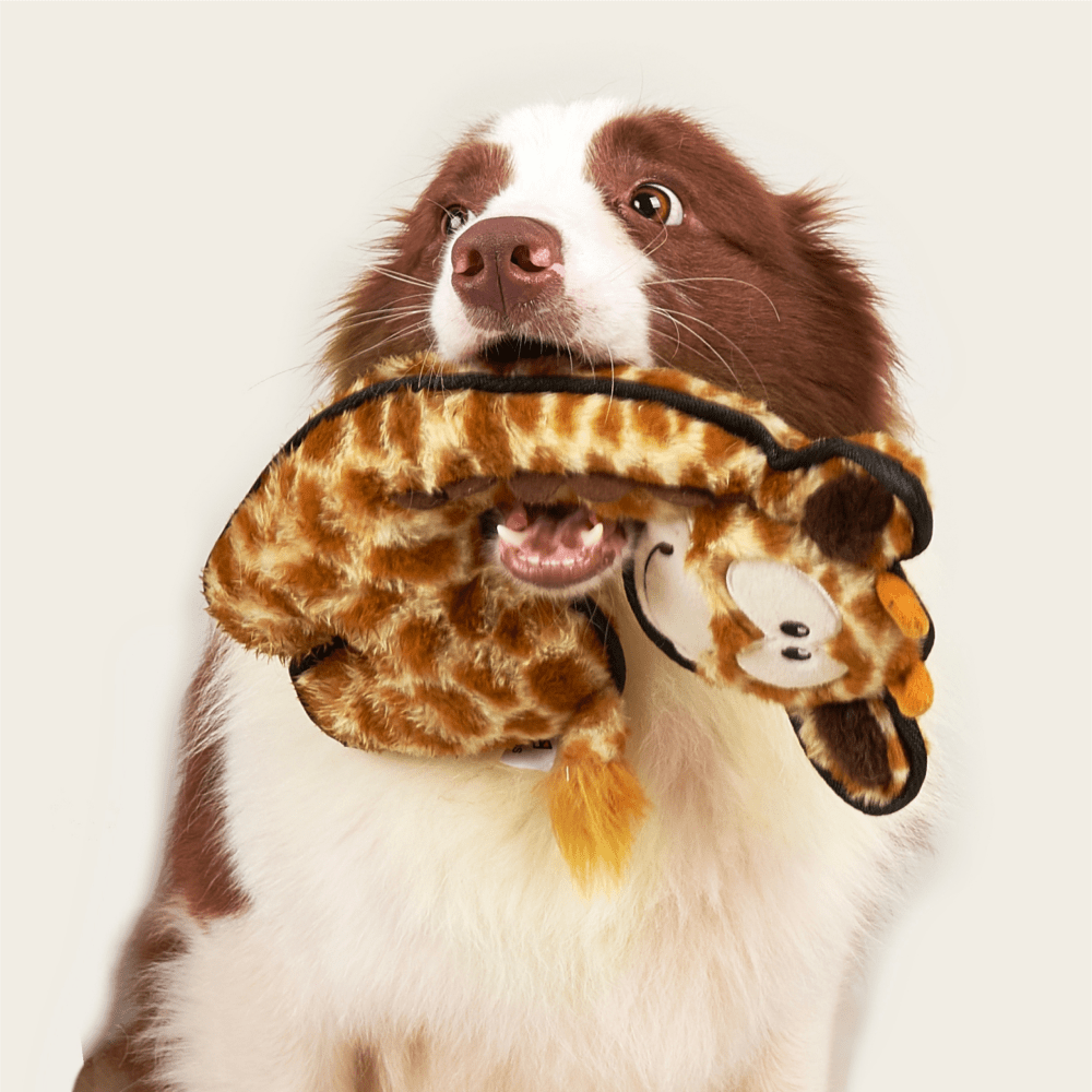 Fofos Safari Line Giraffe Plush Toy for Dogs