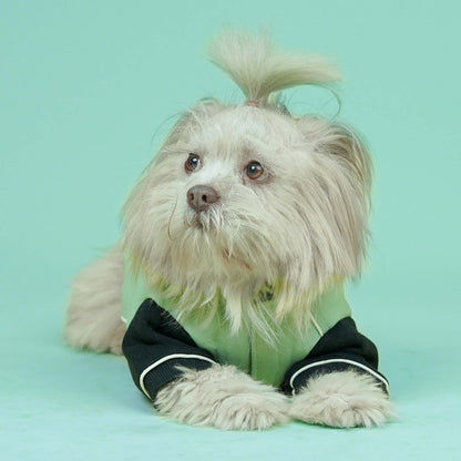 Snow Flake Dog Sweatshirt