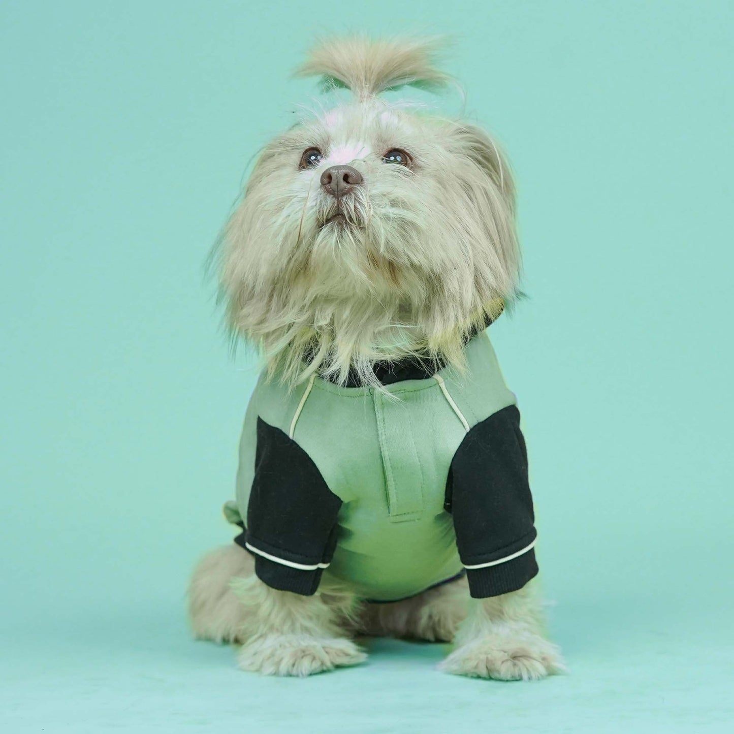 Snow Flake Dog Sweatshirt