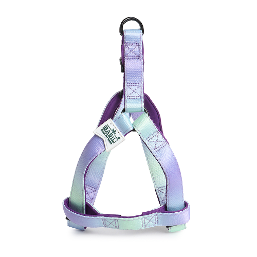 Basil Padded Adjustable Harness for Dogs (Purple/Blue)