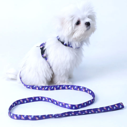 Candy Crush Puppy & Cat Collar Leash Harness Set