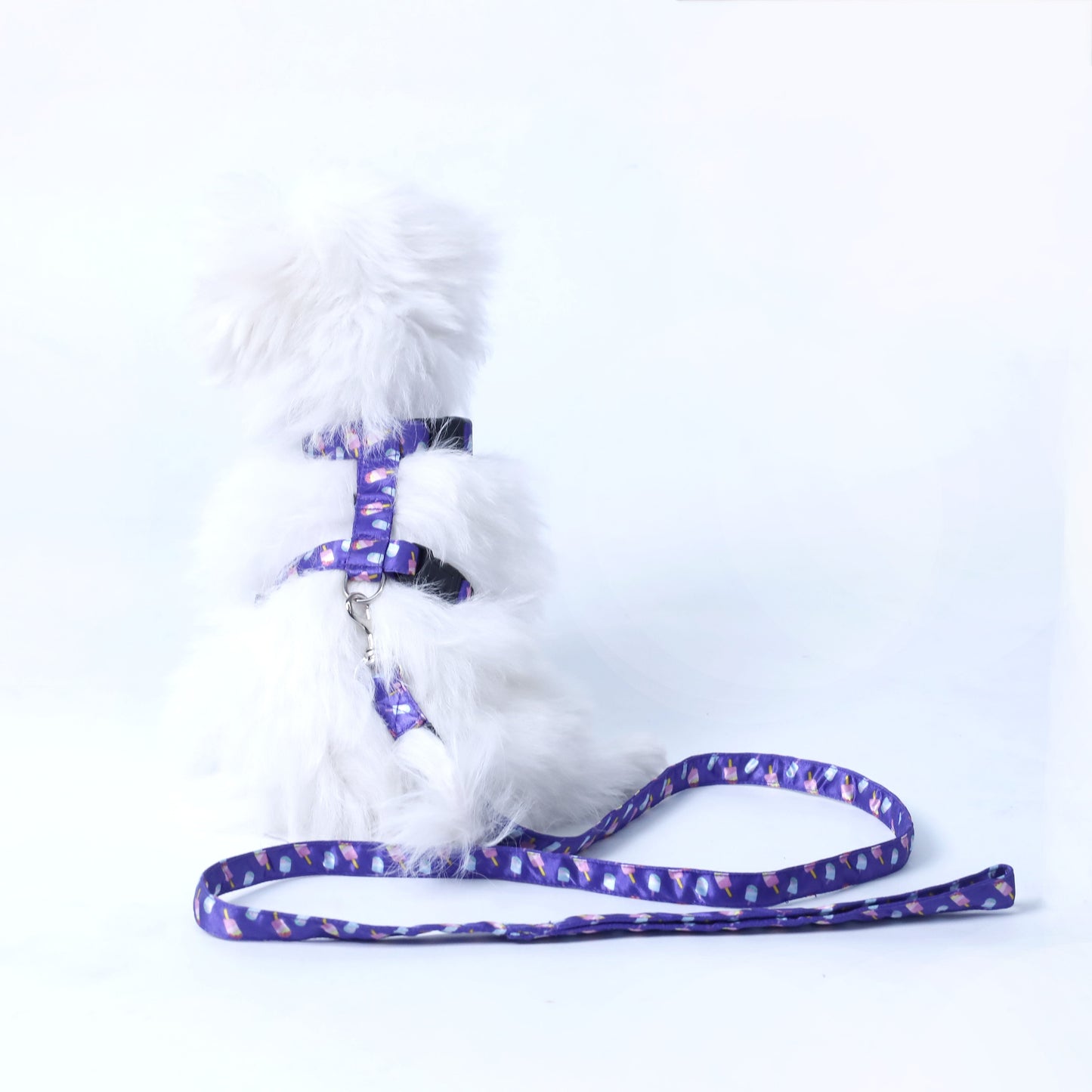 Candy Crush Puppy & Cat Collar Leash Harness Set