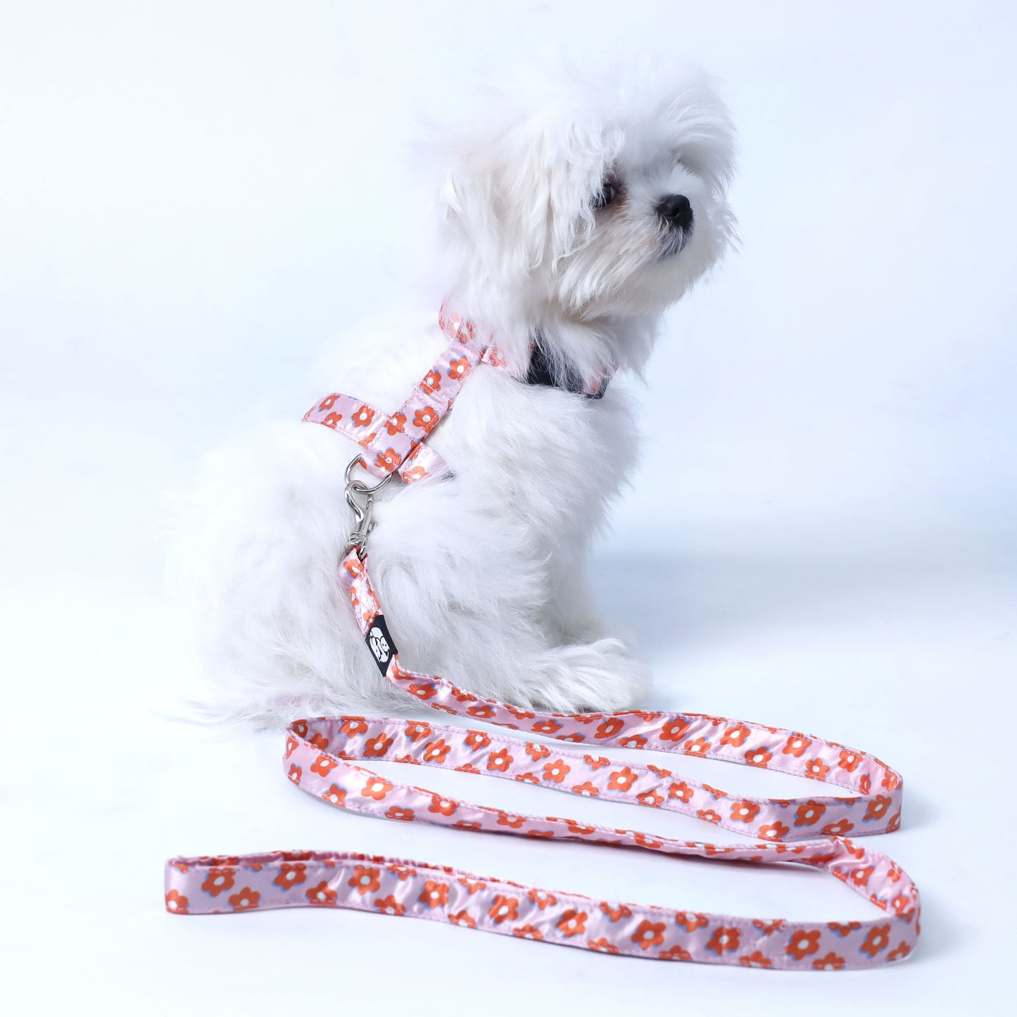 Pawfect Flower Puppy & Cat Collar Leash Harness Set