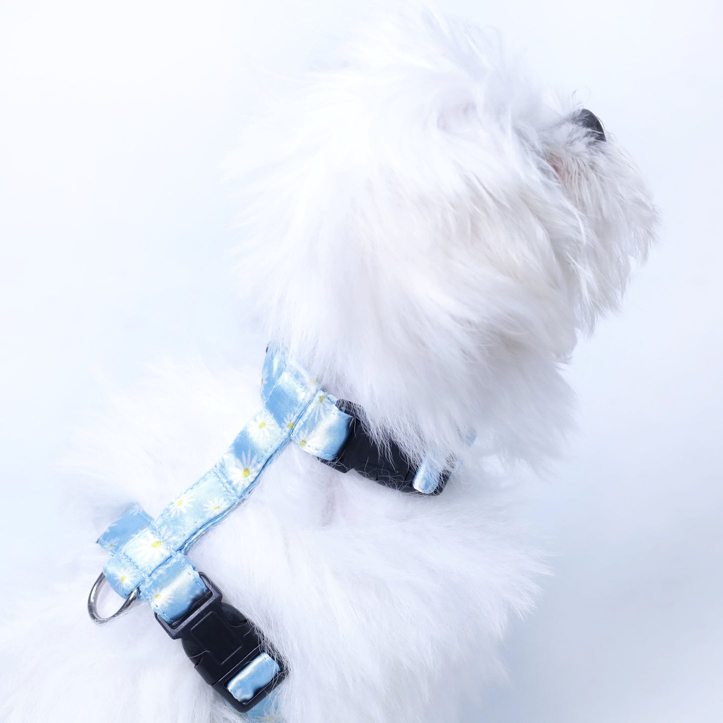 Petal Puppy & Cat Collar Leash Harness Set