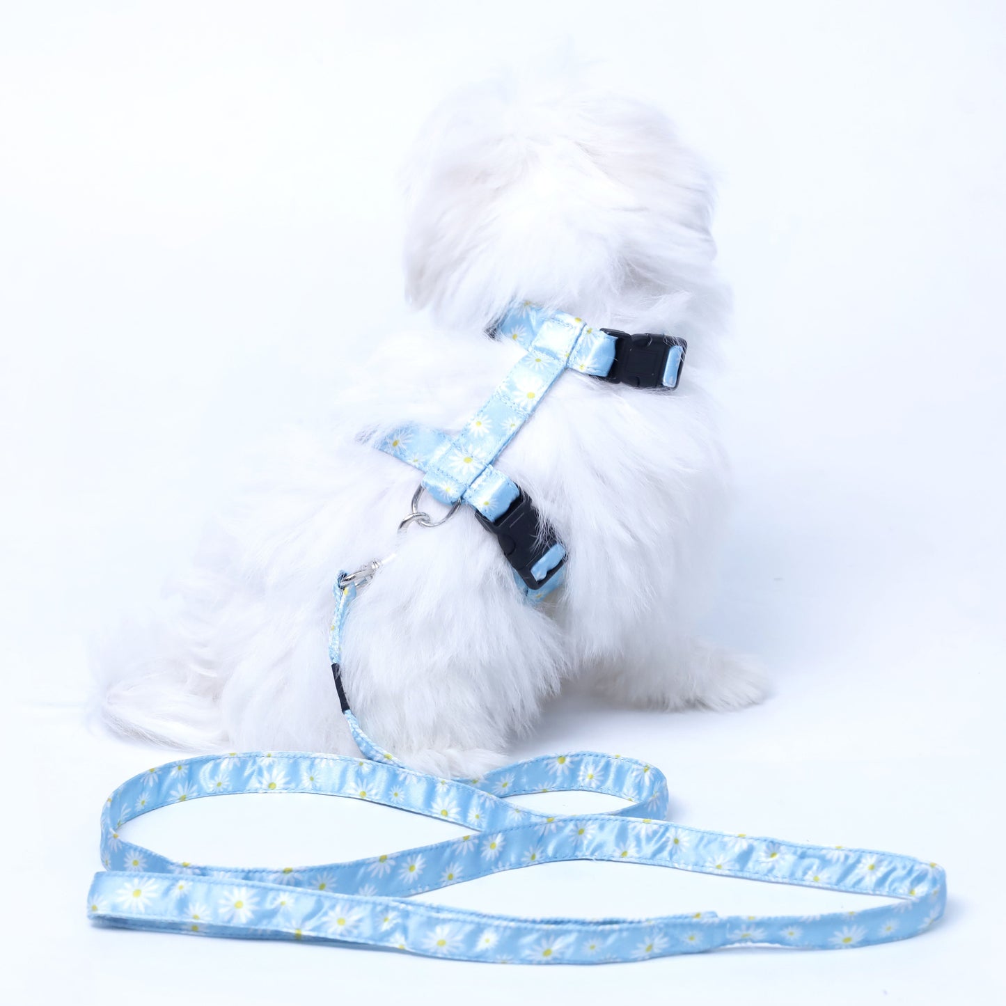 Petal Puppy & Cat Collar Leash Harness Set