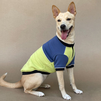 Winterberry Ice Fall Combo