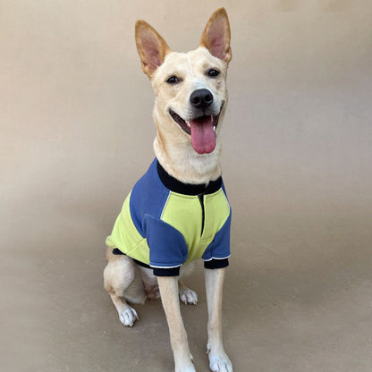 Winterberry Ice Fall Combo