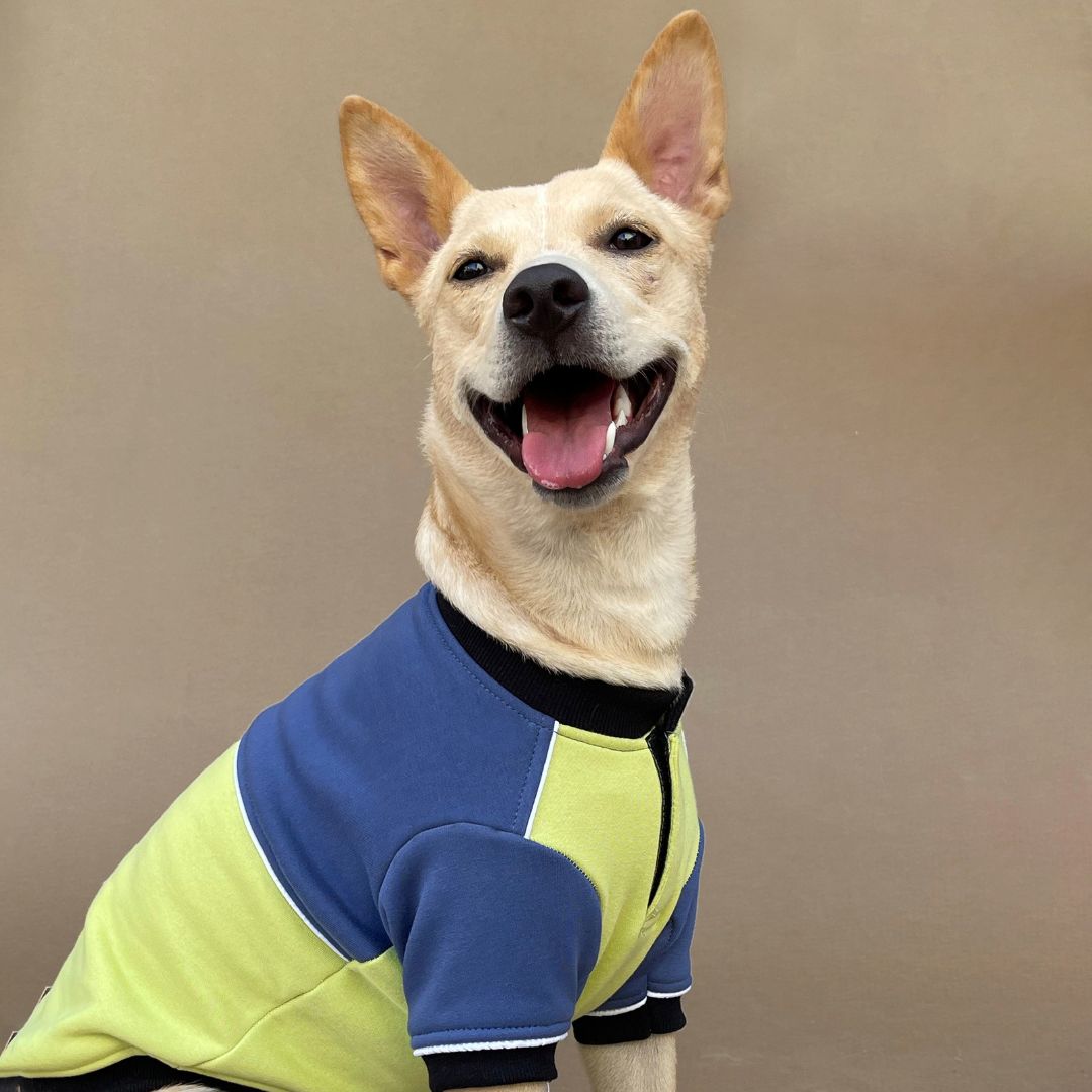 Winterberry Ice Fall Combo