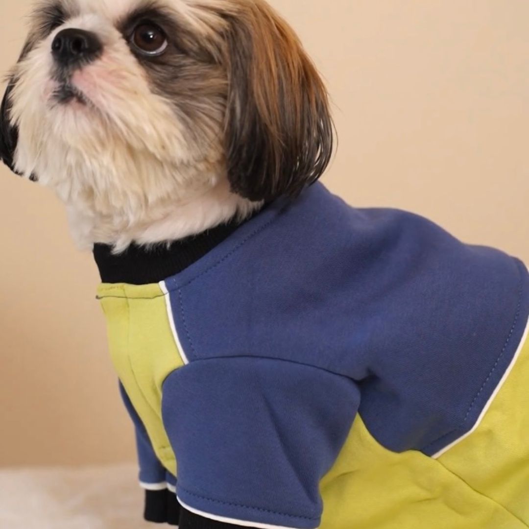 Ice Fall Dog Sweatshirt