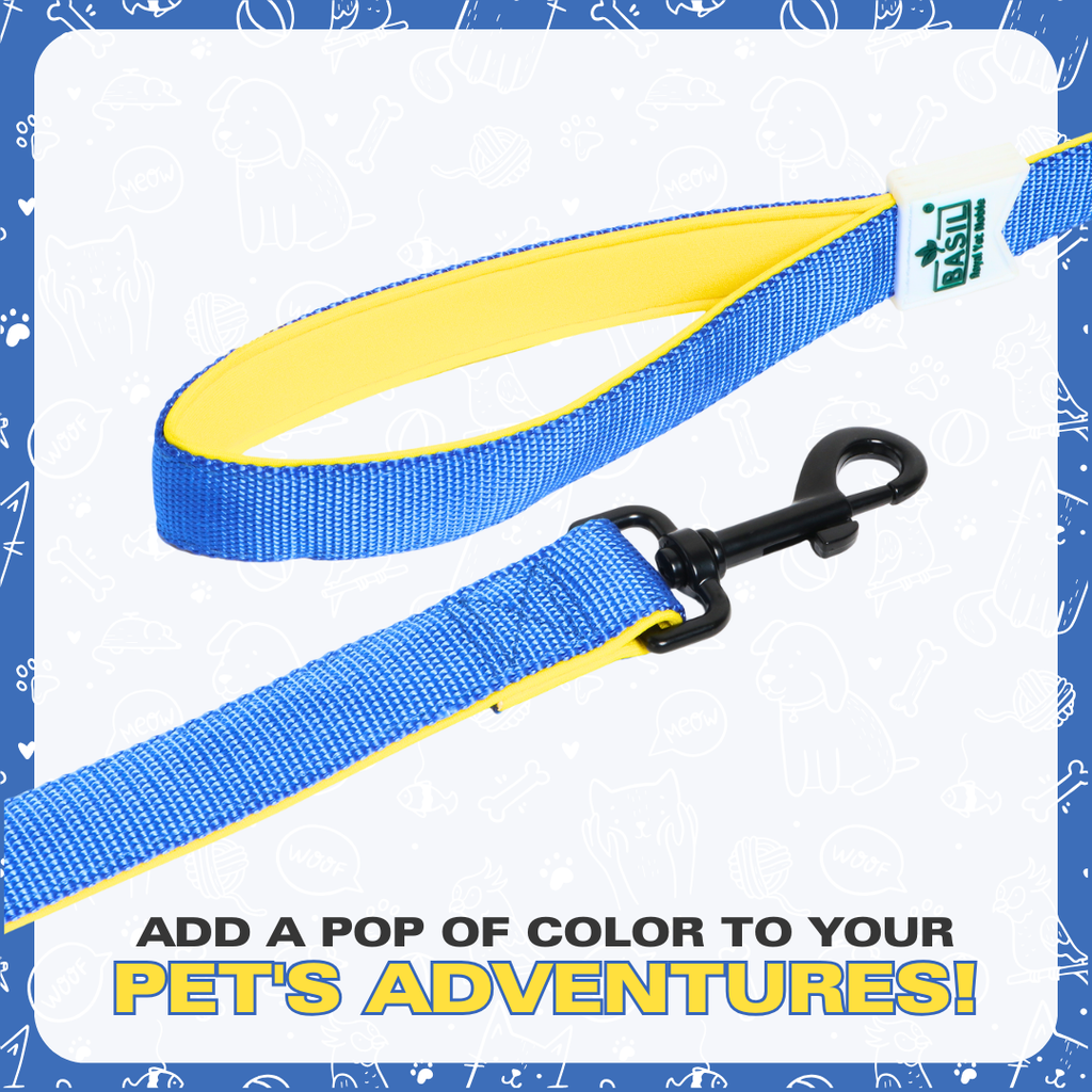 Leash for Dogs, Cats & Puppies (Solid Blue)