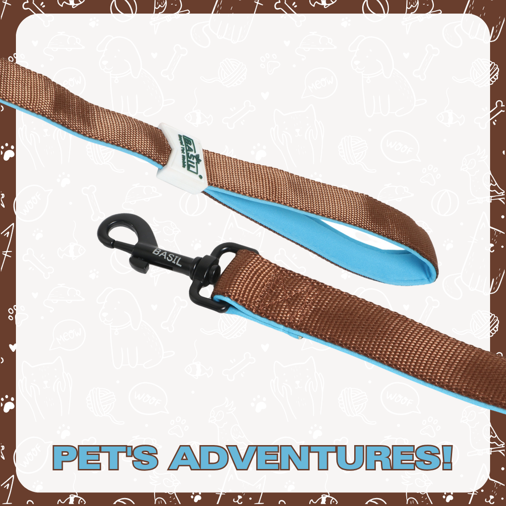 Leash for Dogs, Cats & Puppies (Solid Brown)