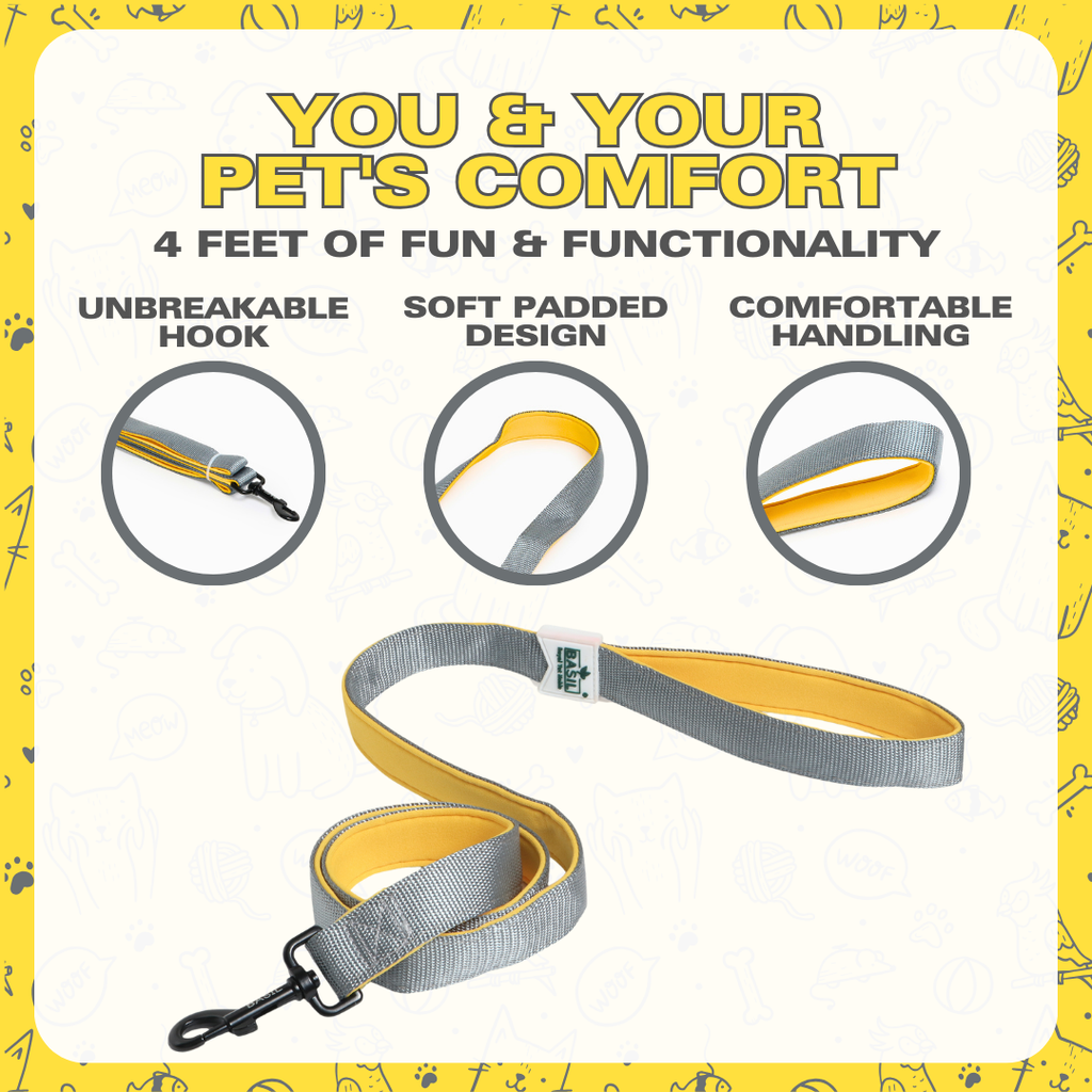 Leash for Dogs, Cats & Puppies (Solid Gray)