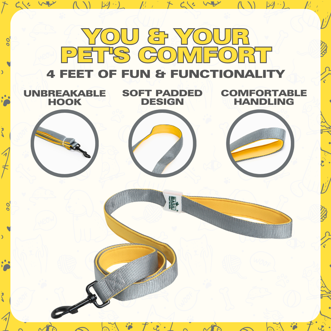 Leash for Dogs, Cats & Puppies (Solid Gray)