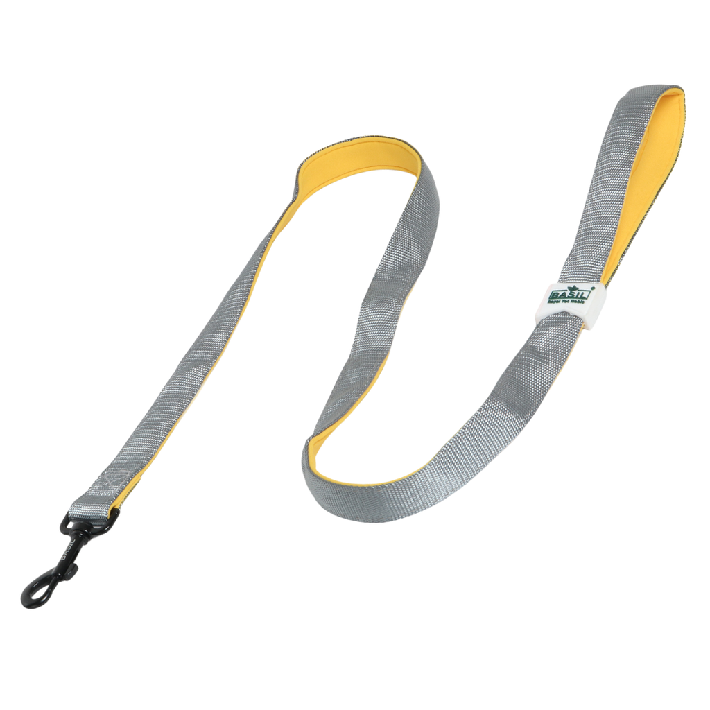 Leash for Dogs, Cats & Puppies (Solid Gray)
