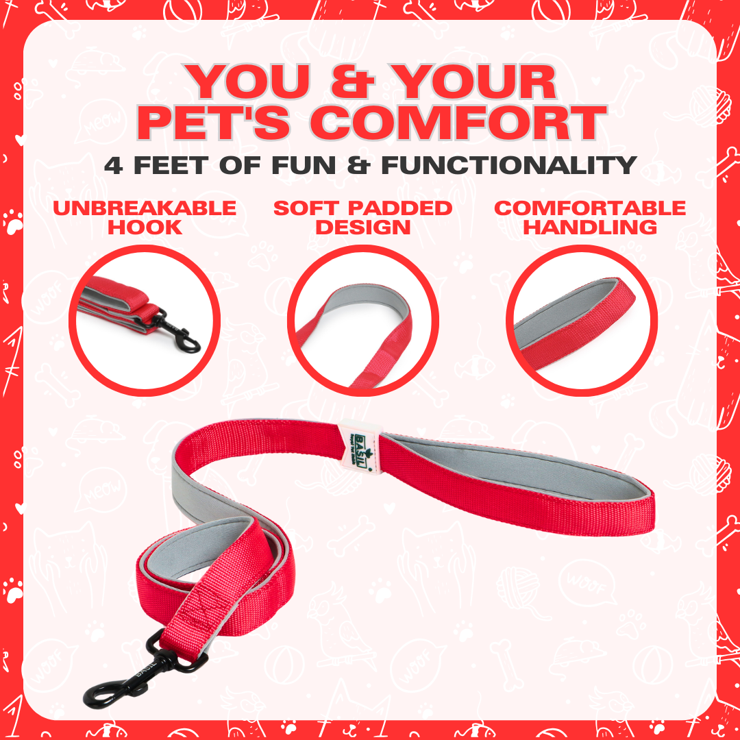 Leash for Dogs, Cats & Puppies (Solid Red)