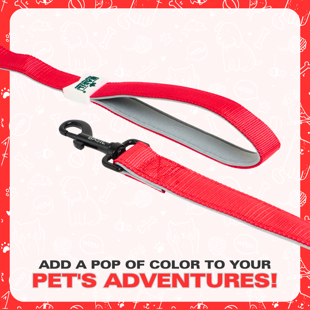 Leash for Dogs, Cats & Puppies (Solid Red)