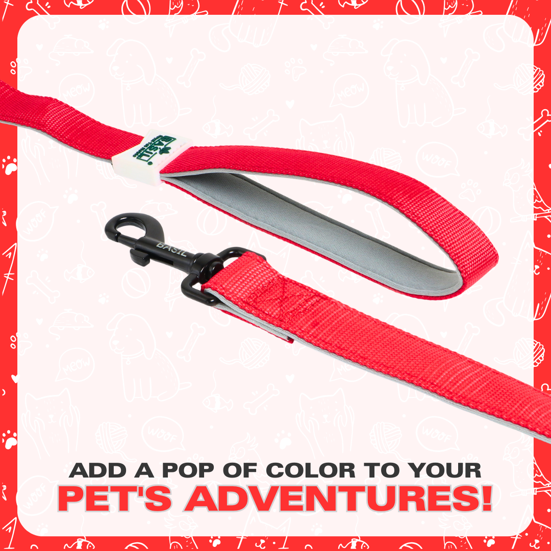 Leash for Dogs, Cats & Puppies (Solid Red)