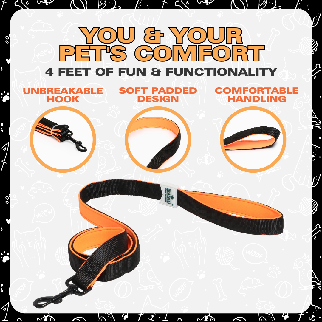 Leash for Dogs, Cats & Puppies (Solid Black)