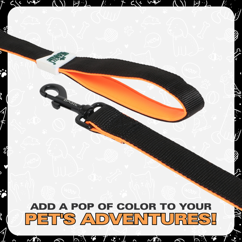 Leash for Dogs, Cats & Puppies (Solid Black)