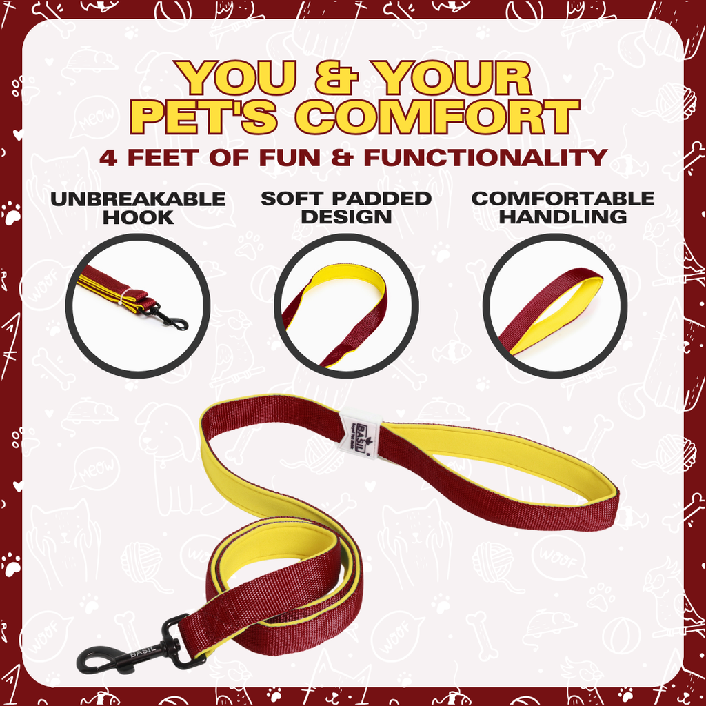 Leash for Dogs, Cats & Puppies (Solid Maroon)