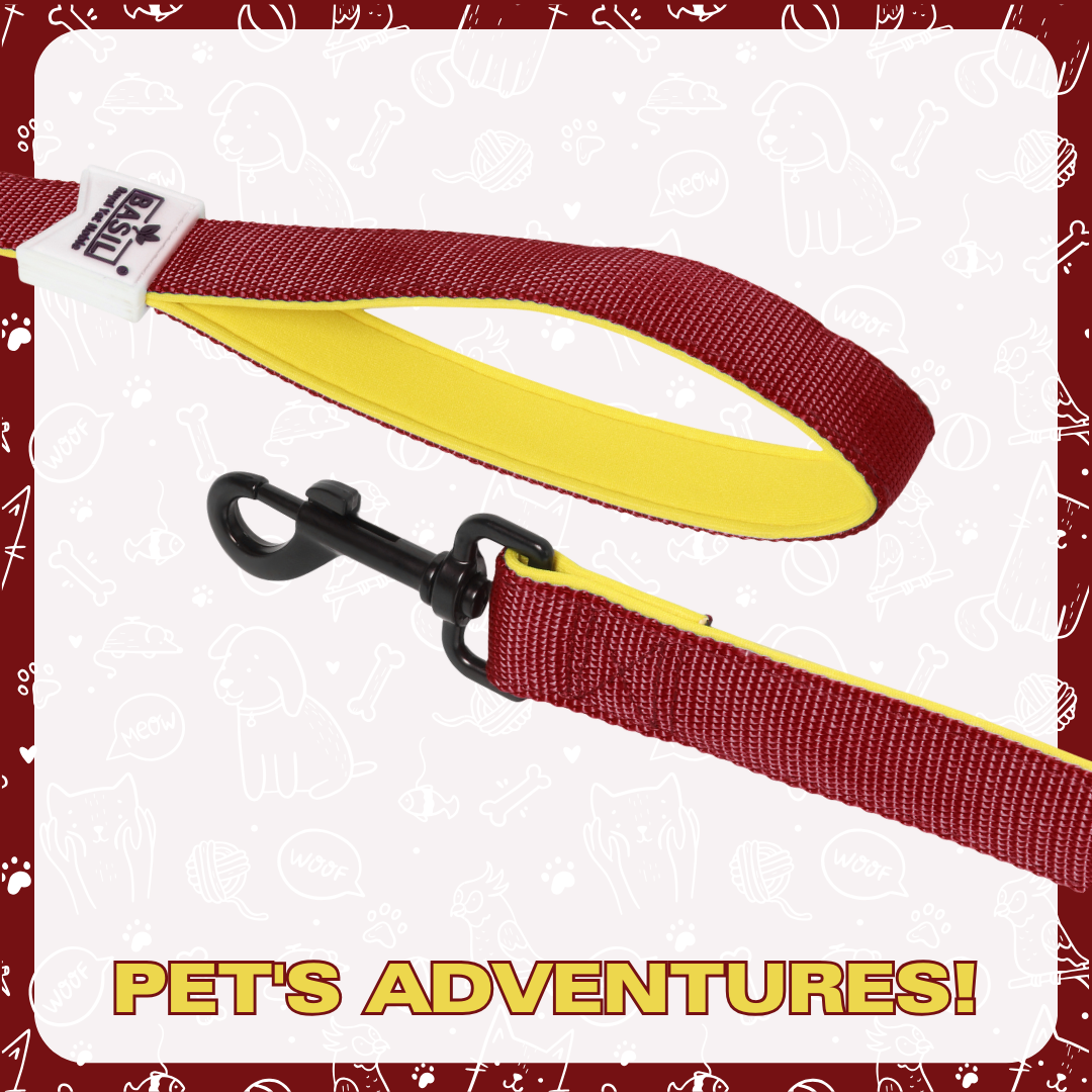 Leash for Dogs, Cats & Puppies (Solid Maroon)