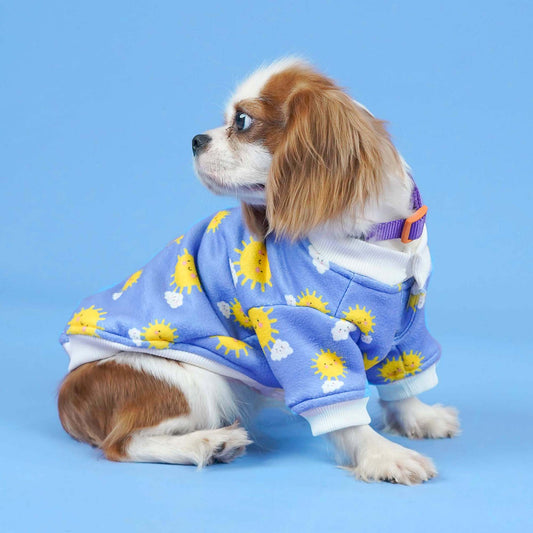 Sunlight Dog Sweatshirt