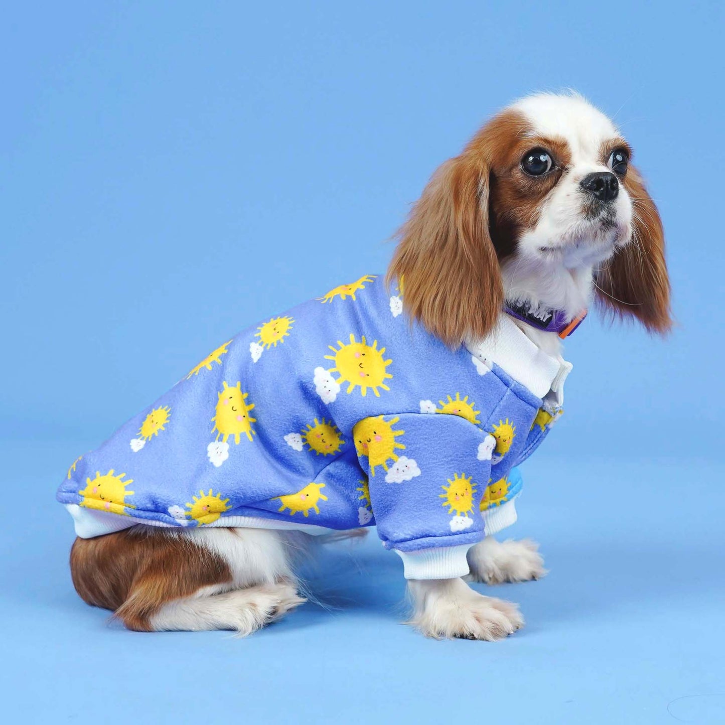 Sunlight Dog Sweatshirt