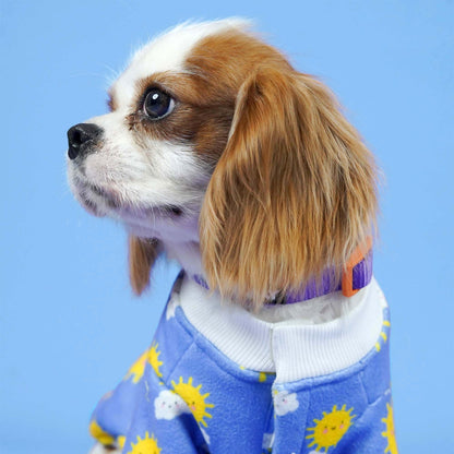 Sunlight Dog Sweatshirt