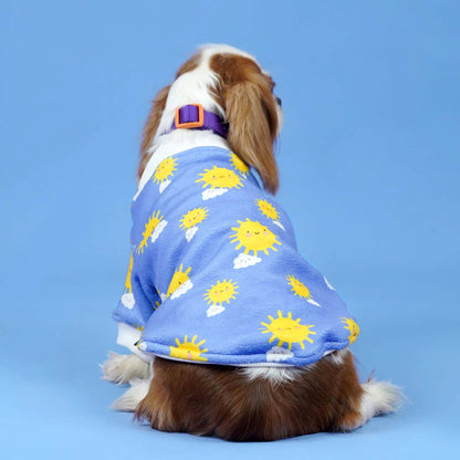 Sunlight Dog Sweatshirt