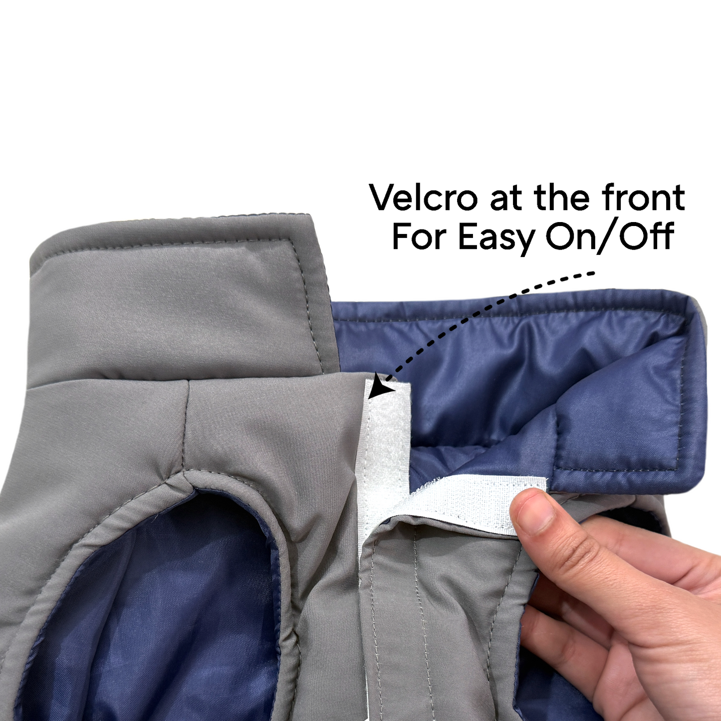 Frost- Navy Dog Jacket