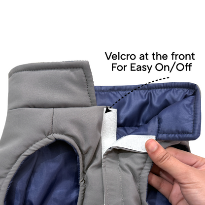 Frost- Navy Dog Jacket