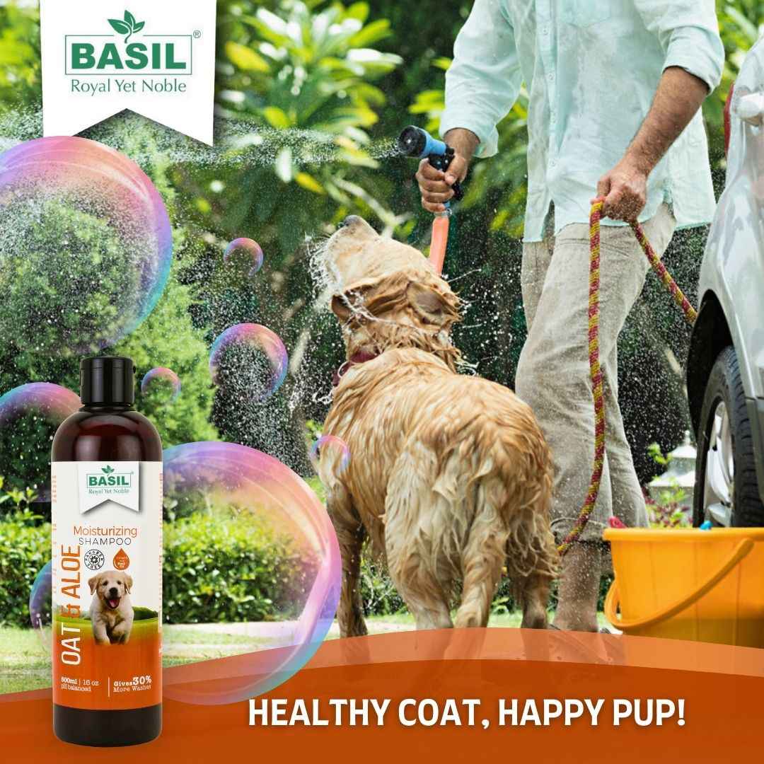 Oat & Aloe Moisturizing Shampoo for Dogs