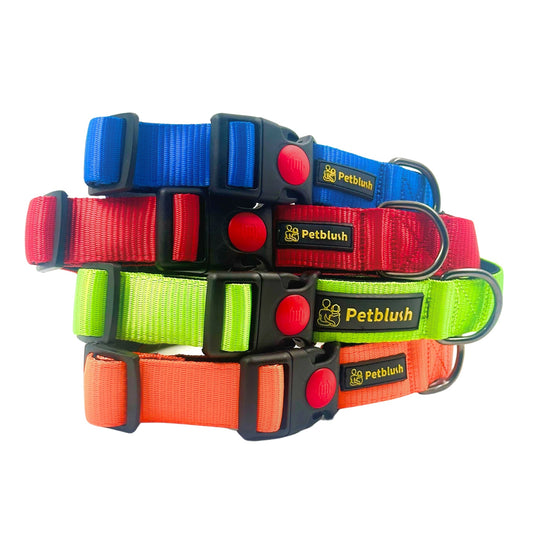 Petblush Bold Padded Collars with Lock Buckle