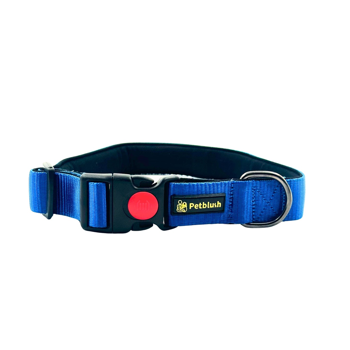 Petblush Bold Padded Collars with Lock Buckle