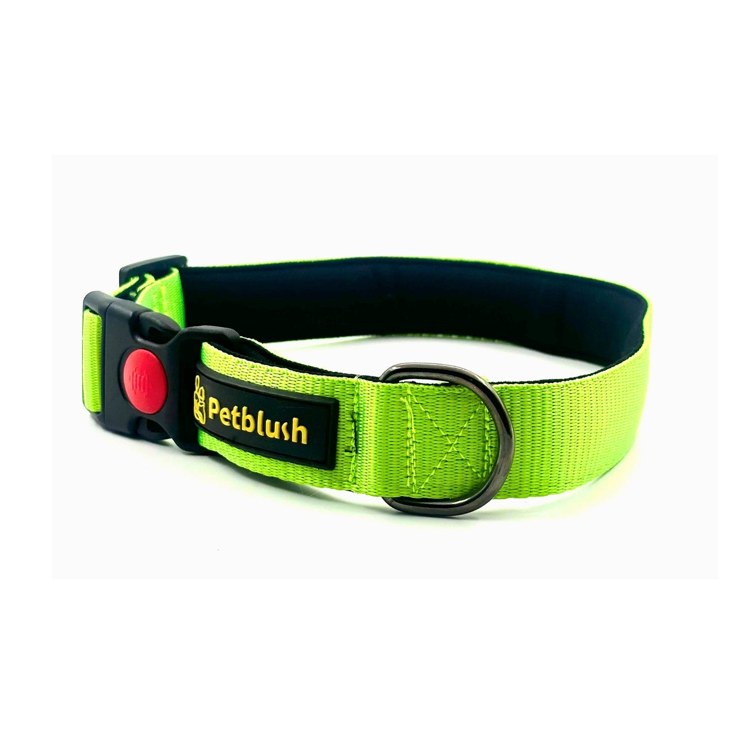 Petblush Bold Padded Collars with Lock Buckle