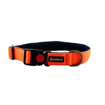 Petblush Bold Padded Collars with Lock Buckle