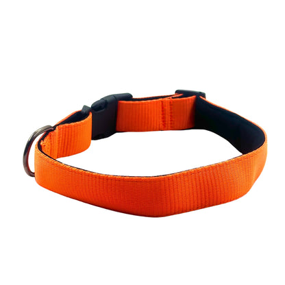 Petblush Bold Padded Collars with Lock Buckle
