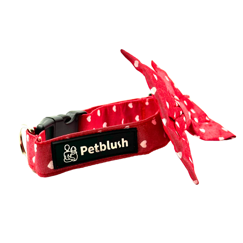 Petblush Heart Print Bow Collar For Puppies