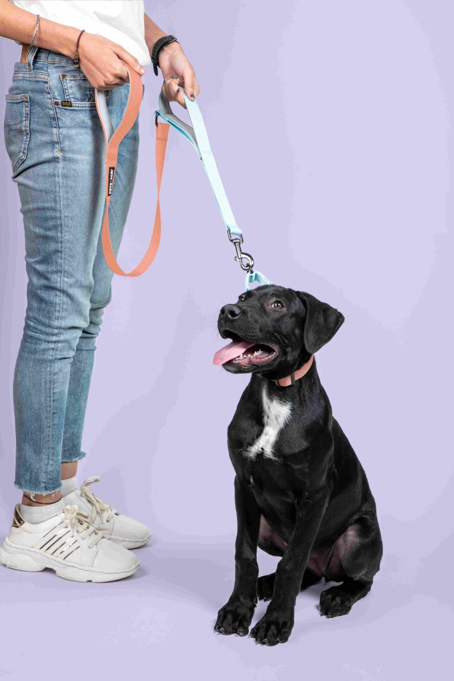 Peach & Sky - Traffic / Dual Handle  Leash