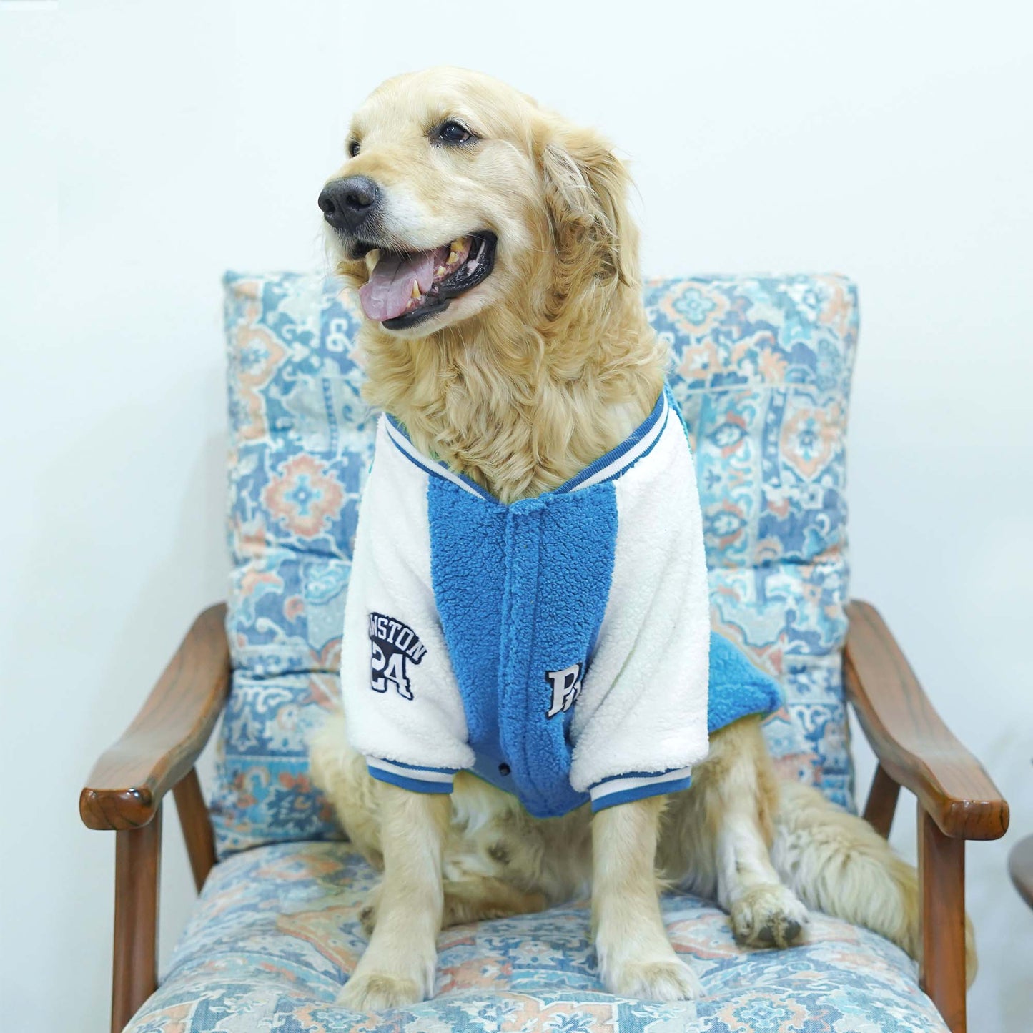 Pawsity – Pool Dog Jacket