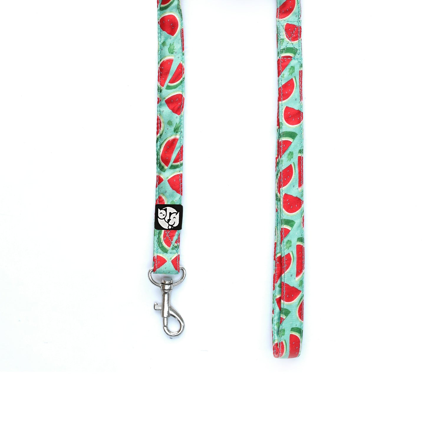 Watermelon Puppy & Cat Collar Leash Harness Set