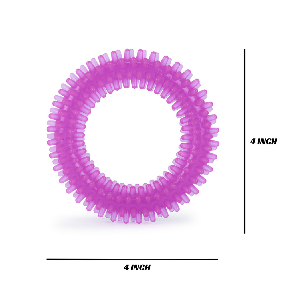 BASIL Dog Chew Toy, Spiked Ring (Purple)